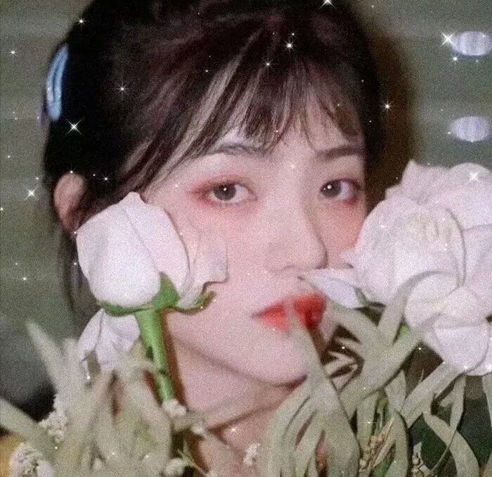 甜木兰第三季